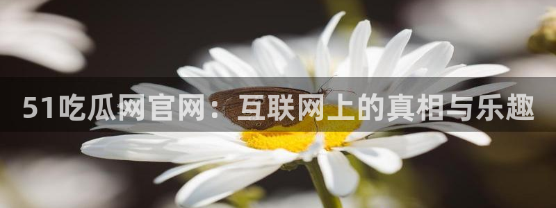 51吃瓜网官网：互联网上的真相与乐趣